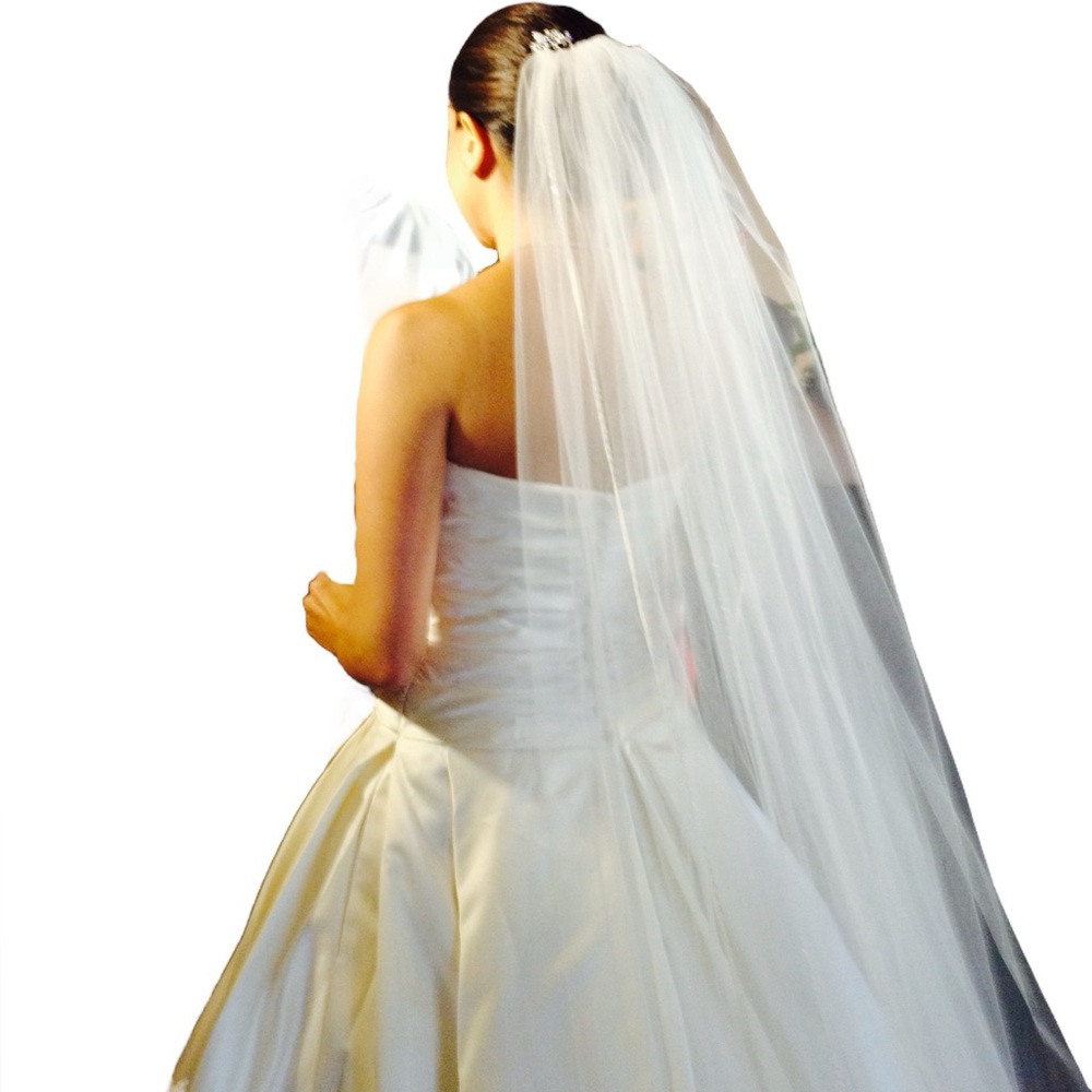 Michelle Roth Veil. Simple and elegant w/diamond trim.